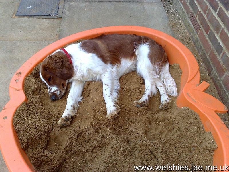 2009-09-18 02.jpg - This sandpit was made just the right shape / size for me!